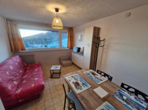 Studio moderne et lumineux au pied des pistes - FR-1-814-79 Besse-Et-Saint-Anastaise